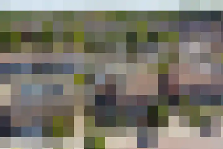 Kruidendreef 53 Dronten thumbnail 5