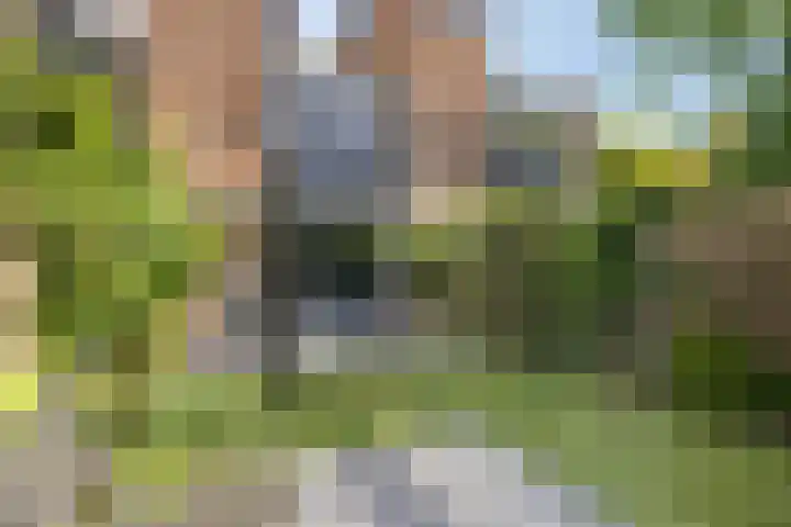 Kruidendreef 56 Amersfoort thumbnail 25