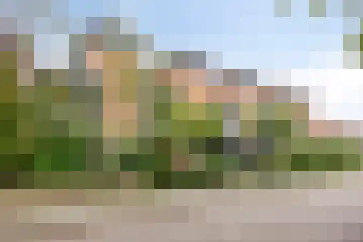Kruidendreef 56 Amersfoort thumbnail 32