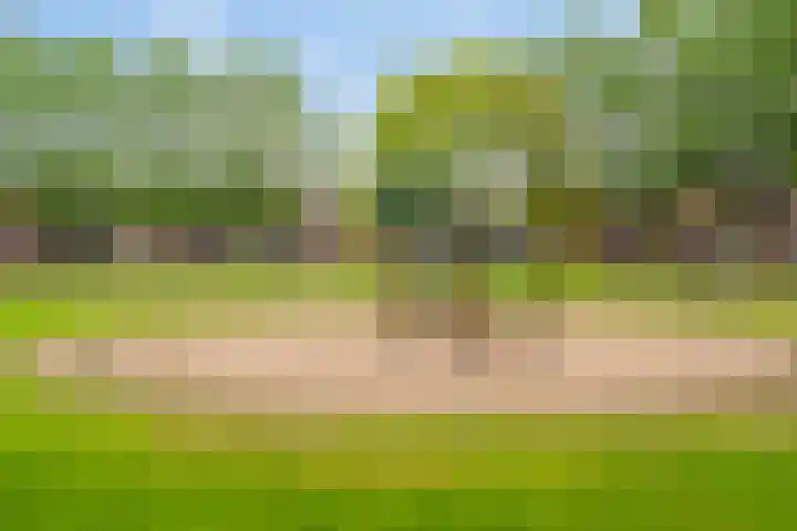 Kruidendreef 66 Amersfoort thumbnail 24