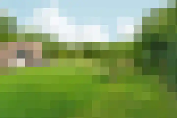 Kruidendreef 67 Dronten thumbnail 28