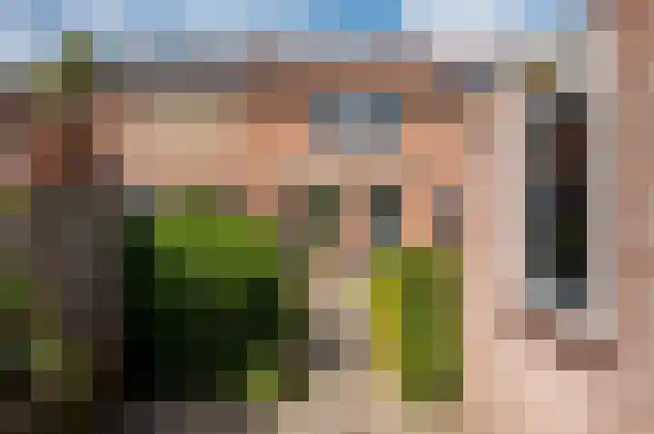 Kruidendreef 67 Dronten thumbnail 34