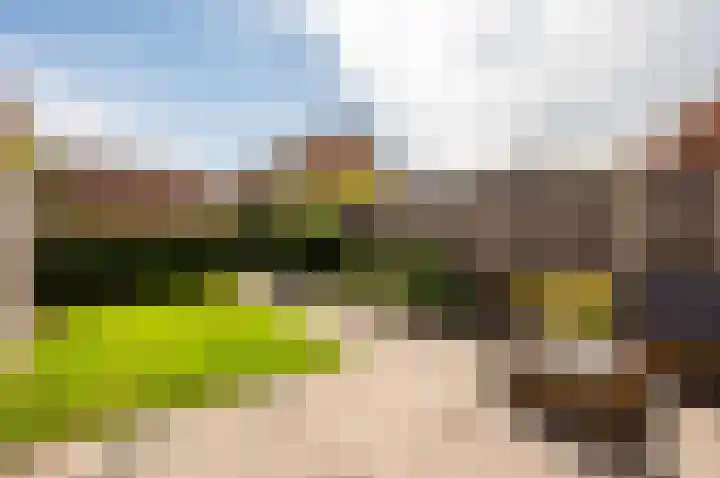 Kruidendreef 67 Dronten thumbnail 35