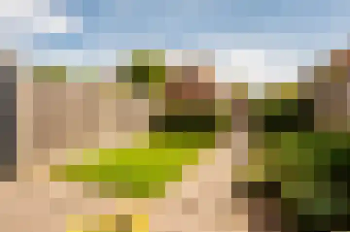 Kruidendreef 67 Dronten thumbnail 36