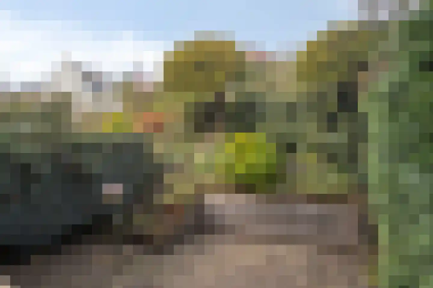 Kruidendreef 67 Dronten thumbnail 40