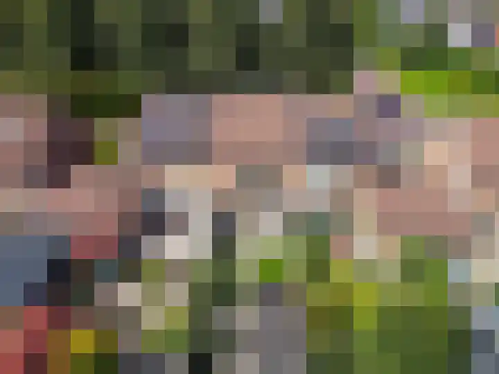 Kruidendreef 67 Dronten thumbnail 40