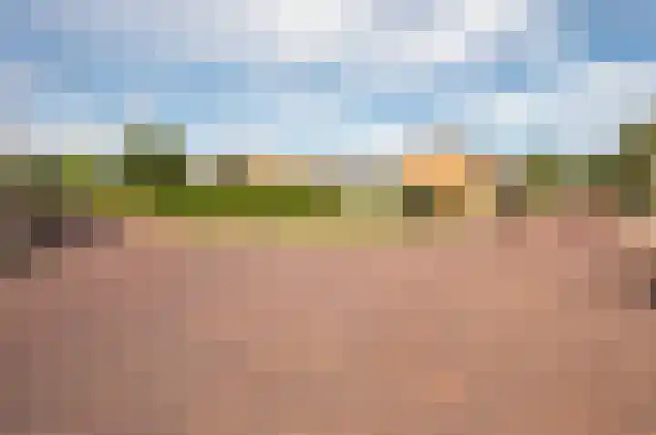 Kruidendreef 67 Dronten thumbnail 45