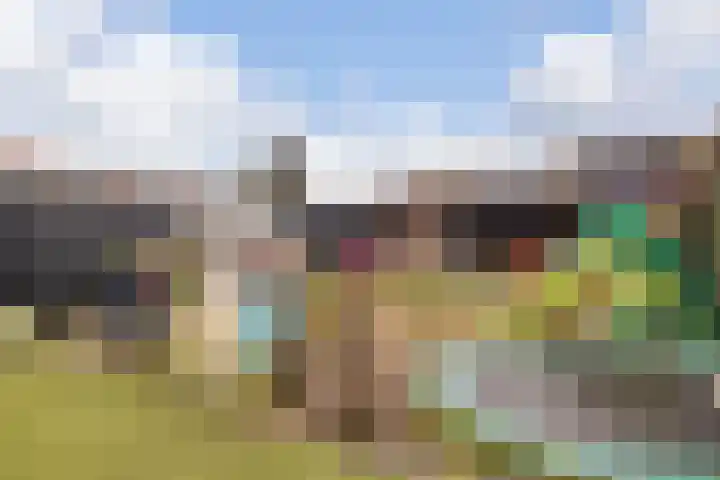 Kruidendreef 67 Dronten thumbnail 46