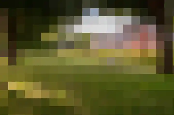 Kruidendreef 67 Dronten thumbnail 46