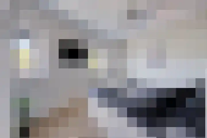 Kruidendreef 8 Amersfoort thumbnail 12