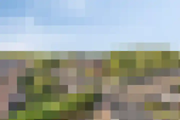Kruidendreef 8 Amersfoort thumbnail 18