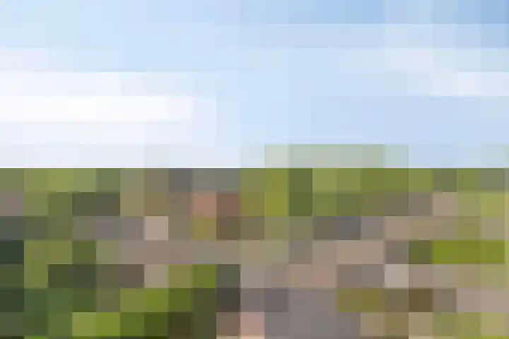Kruidendreef 8 Amersfoort thumbnail 19