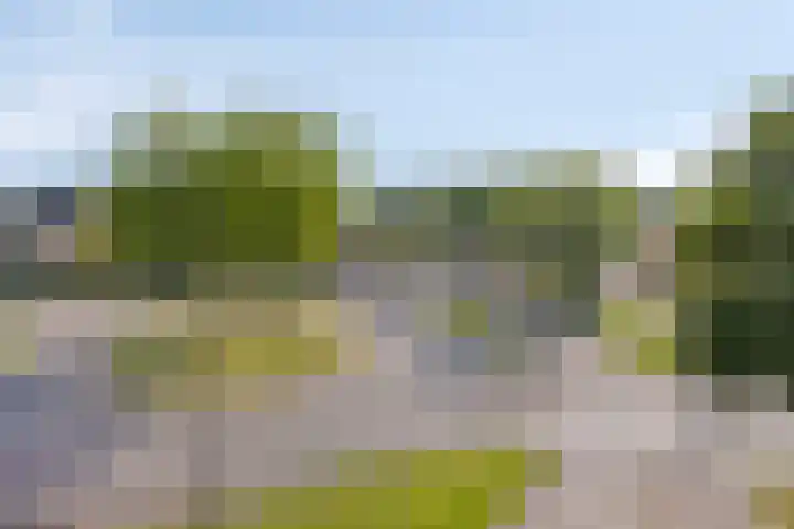 Kruidendreef 8 Amersfoort thumbnail 21