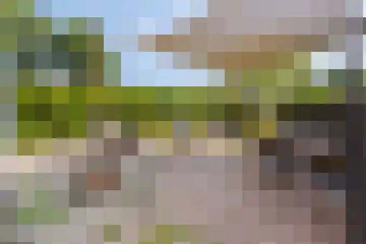 Kruidendreef 8 Amersfoort thumbnail 24