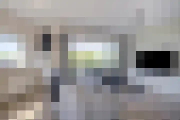Kruidendreef 8 Amersfoort thumbnail 38