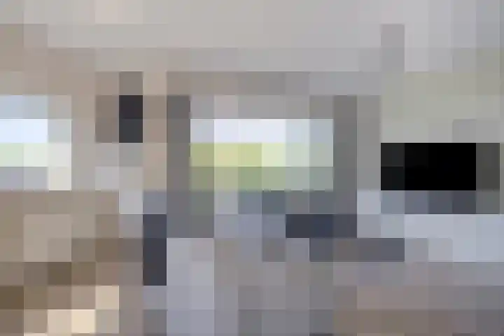 Kruidendreef 8 Amersfoort thumbnail 4