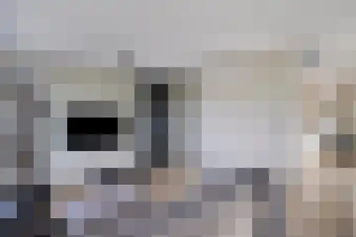 Kruidendreef 8 Amersfoort thumbnail 6