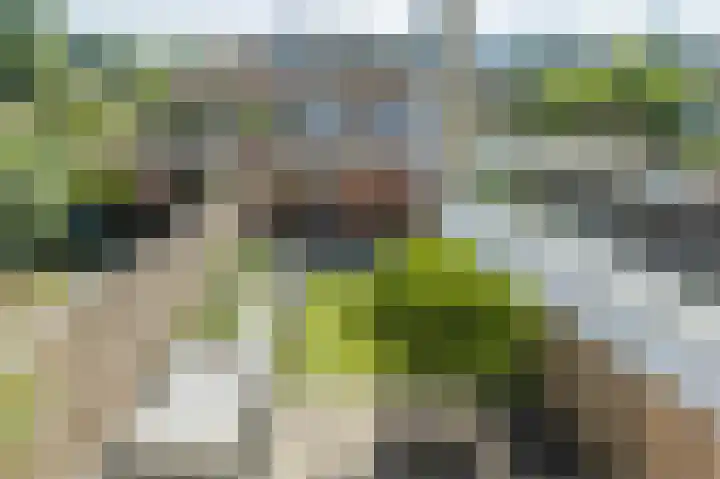 Kruidendreef 88 Amersfoort thumbnail 43