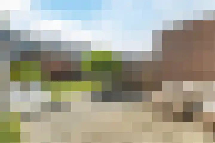Kruidendreef 88 Amersfoort thumbnail 46