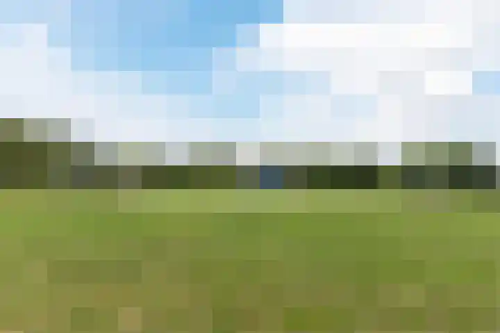 Kruidendreef 88 Amersfoort thumbnail 54