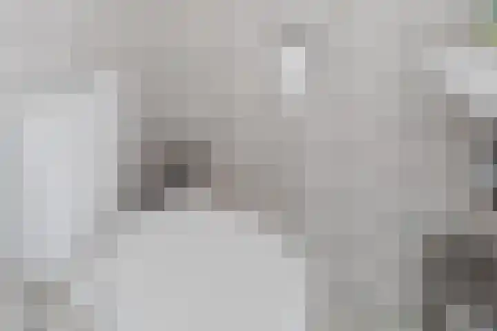 Kruidendreef 90 Amersfoort thumbnail 11
