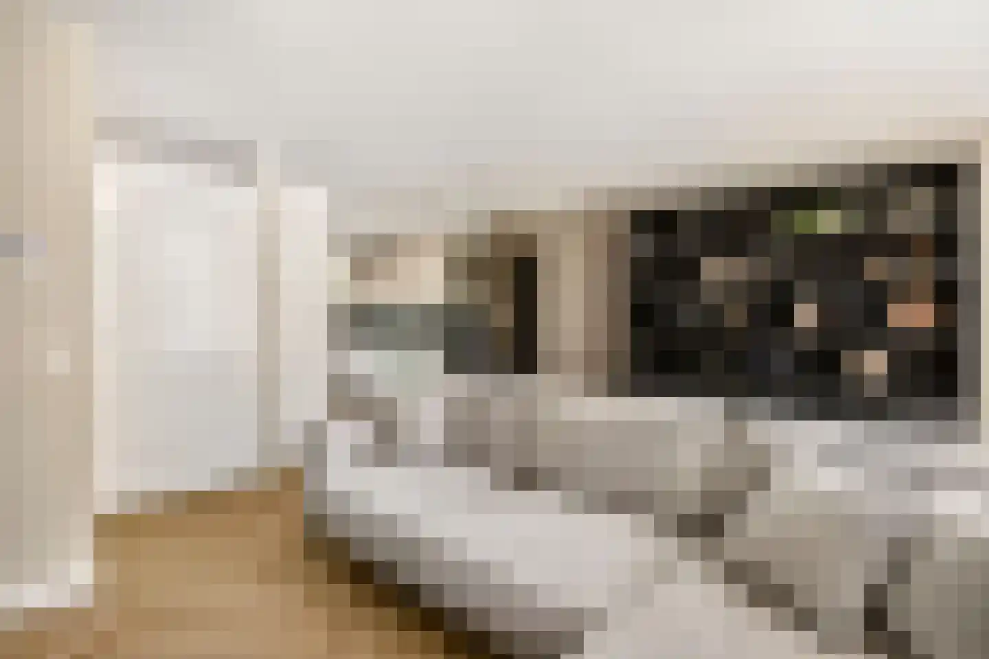 Kruidendreef 90 Amersfoort thumbnail 12