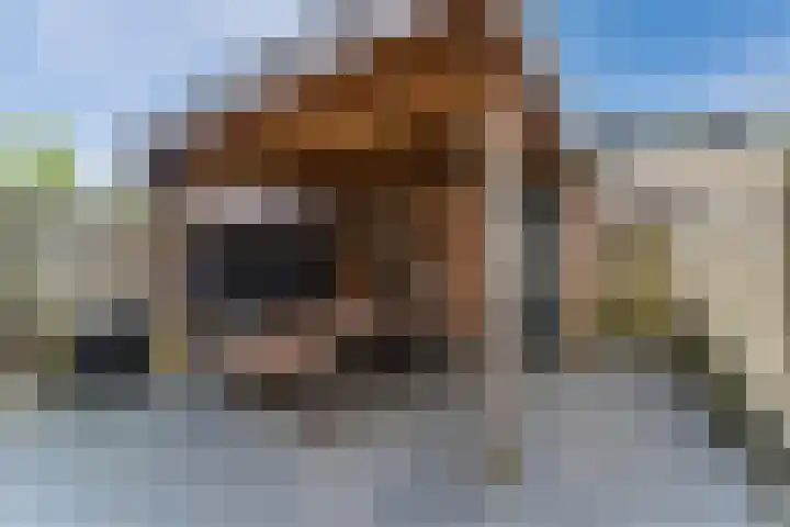 Kruidendreef 90 Amersfoort thumbnail 26