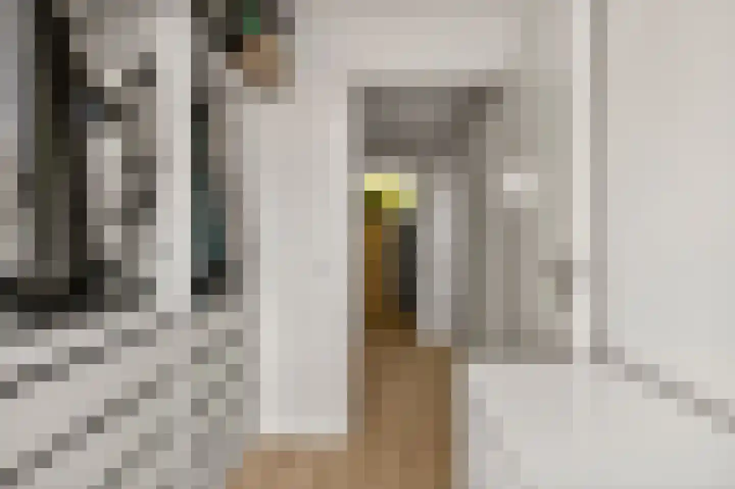 Kruidendreef 90 Amersfoort thumbnail 39