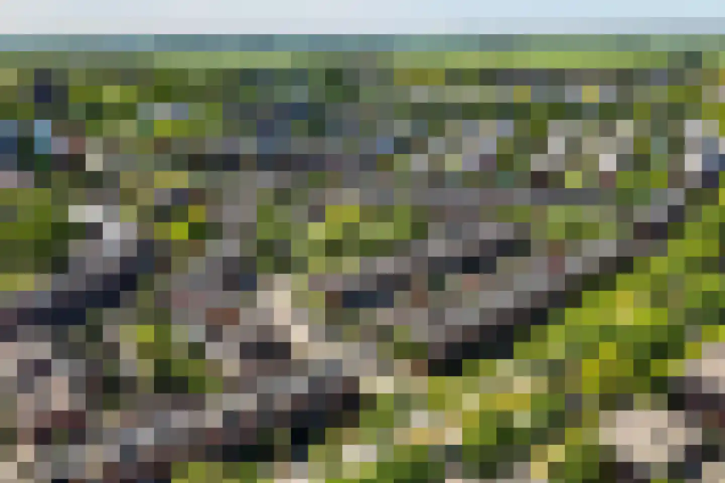 Kruidendreef 90 Amersfoort thumbnail 50