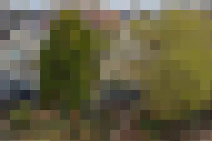 Kruidendreef 90 Dronten thumbnail 29
