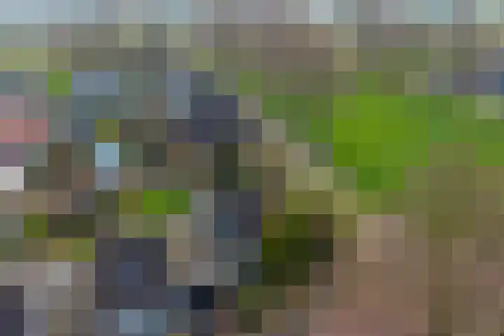 Kruidendreef 90 Dronten thumbnail 31