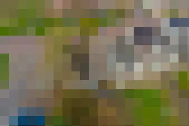 Kruidendreef 90 Dronten thumbnail 33