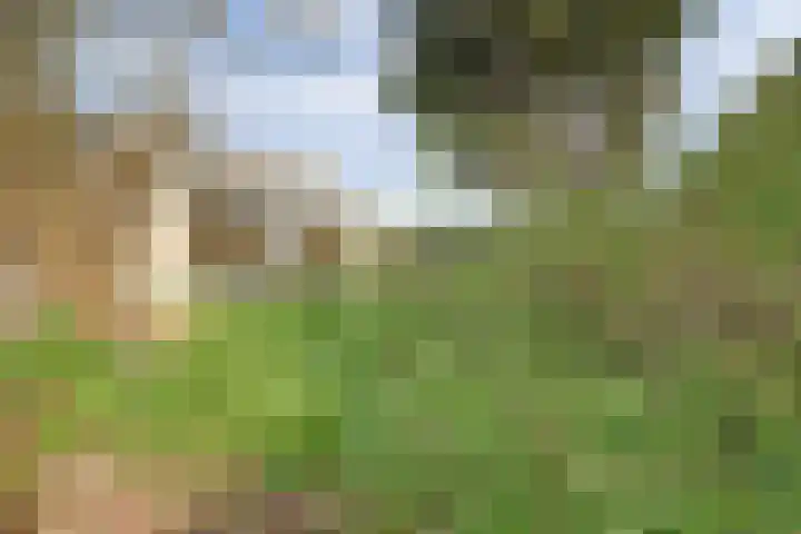 Kruidendreef 90 Dronten thumbnail 34