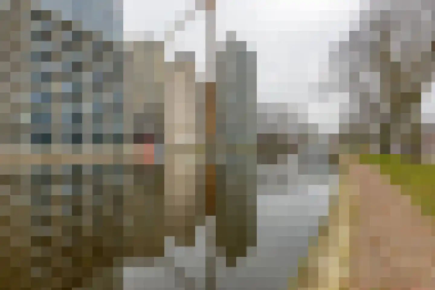 Kruidenhof 10 Leiden thumbnail 23