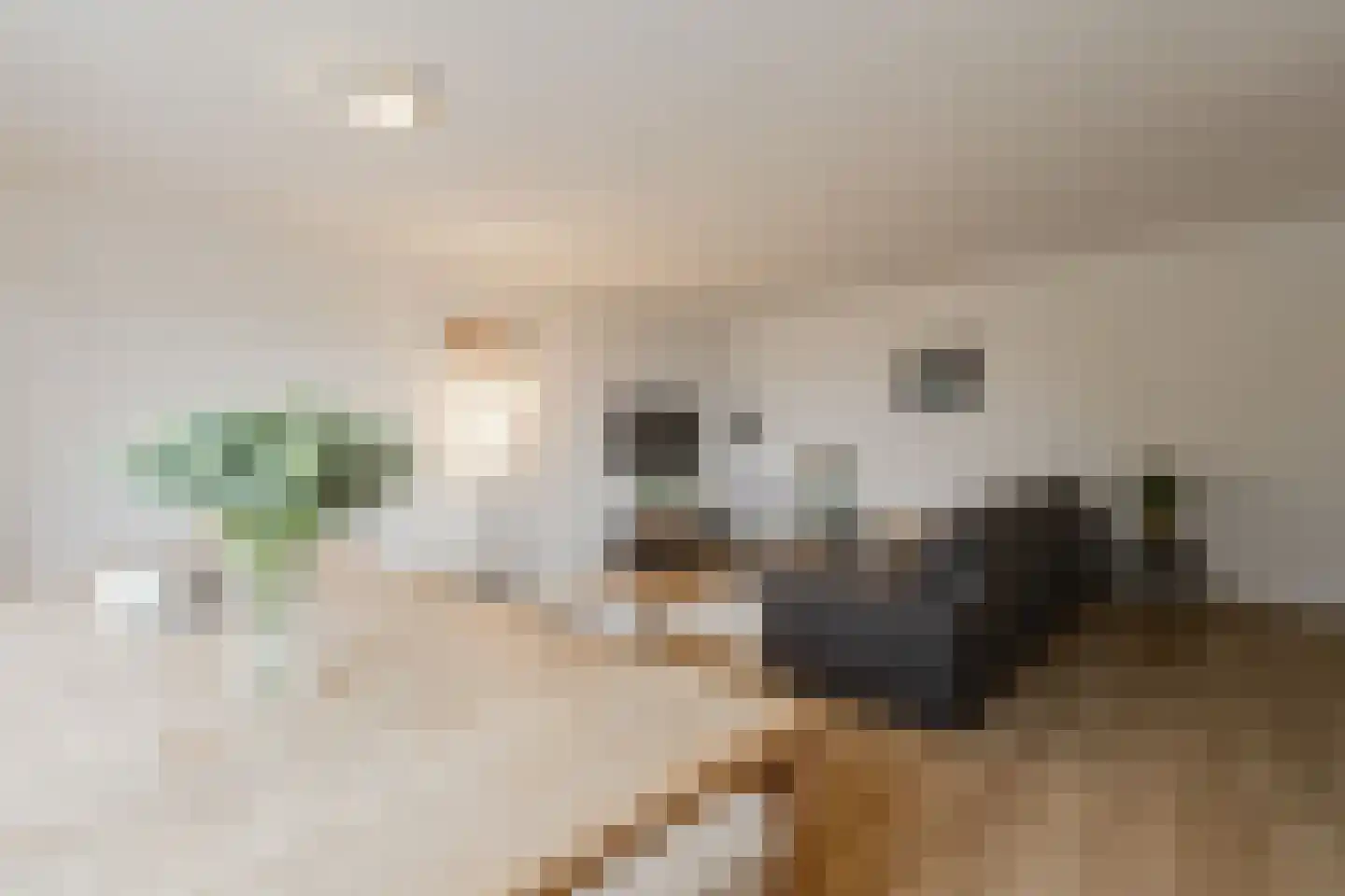 Kruidenhof 11 Diemen thumbnail 21