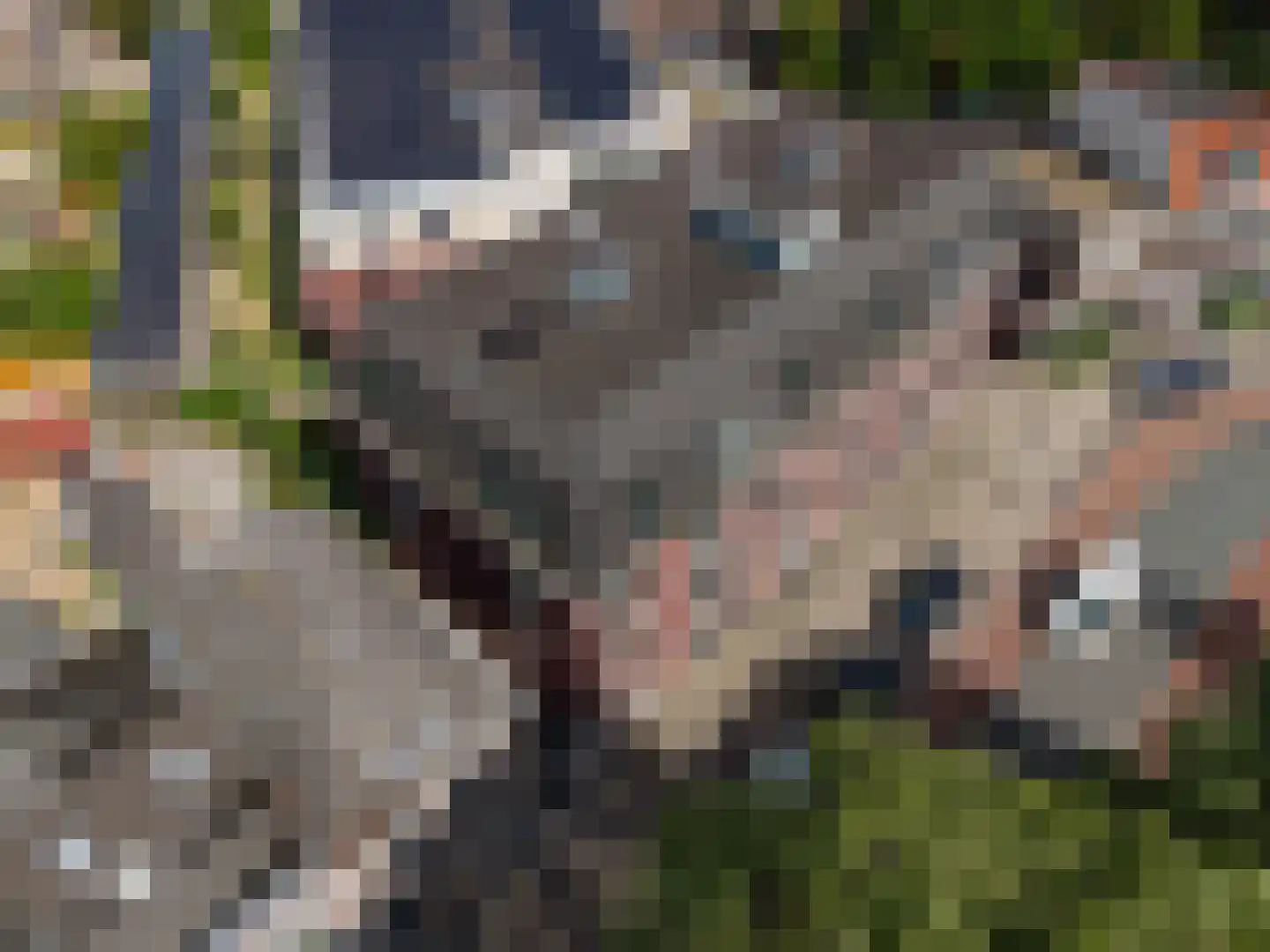 Kruidenhof 11 Leiden thumbnail 37