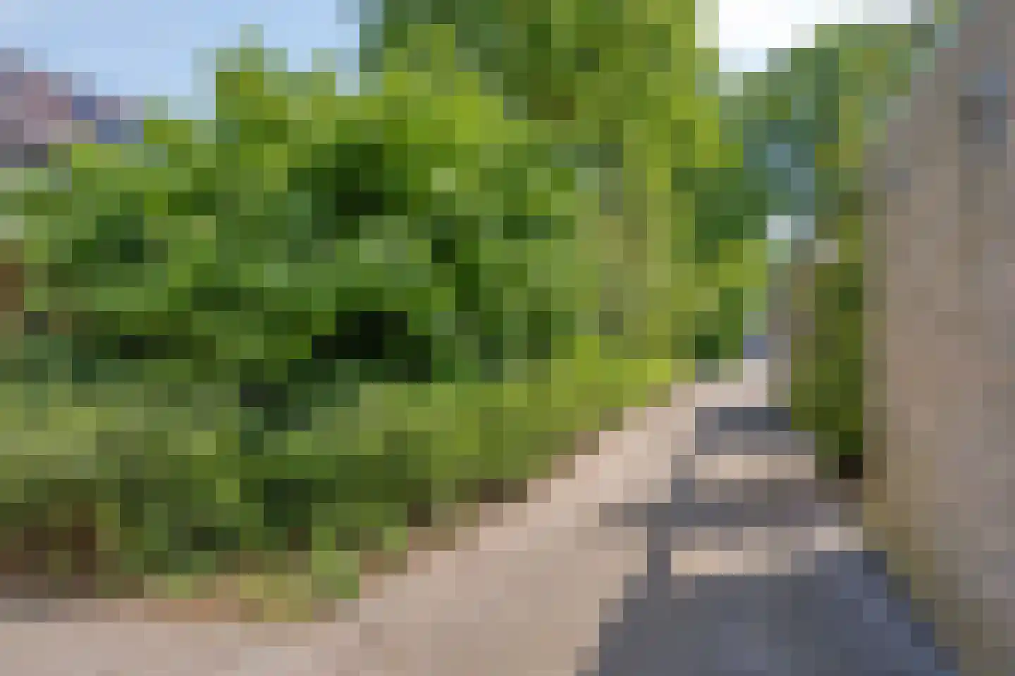 Kruidenhof 11 Schaijk thumbnail 26