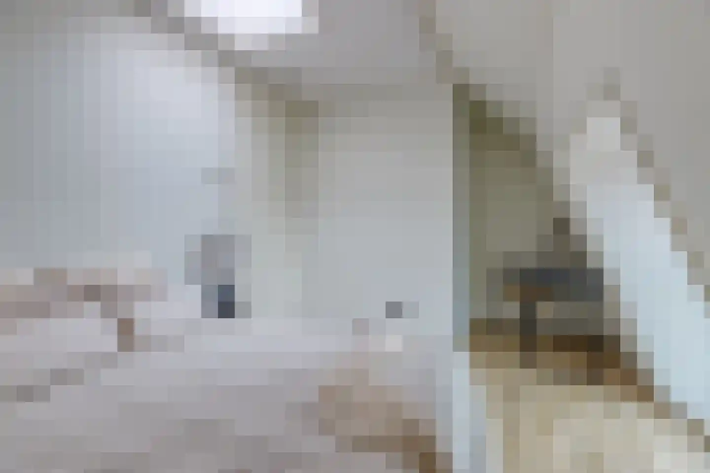 Kruidenhof 12 Leiden thumbnail 18