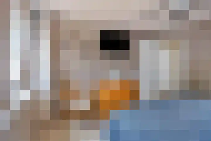 Kruidenhof 17 Schaijk thumbnail 17