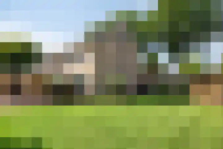 Kruidenhof 17 Schaijk thumbnail 27
