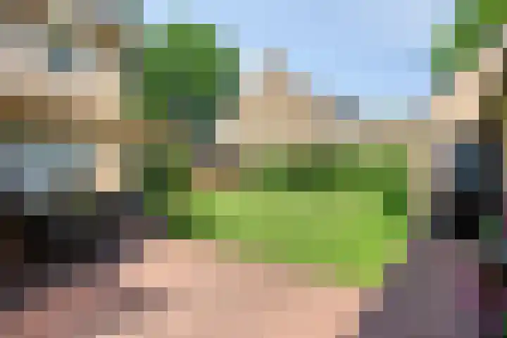 Kruidenhof 17 Schaijk thumbnail 28