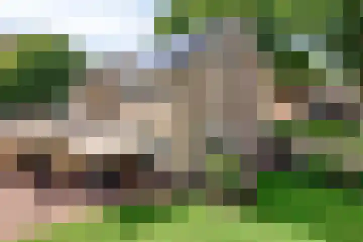 Kruidenhof 17 Schaijk thumbnail 29