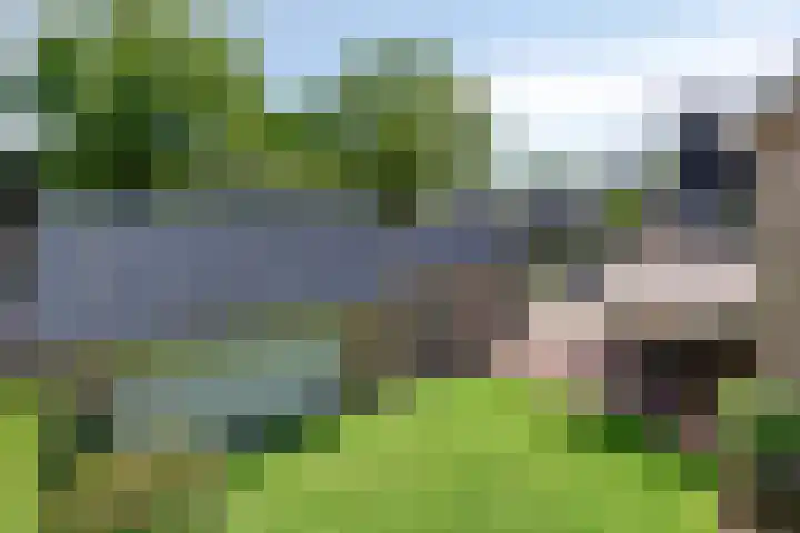 Kruidenhof 17 Schaijk thumbnail 32