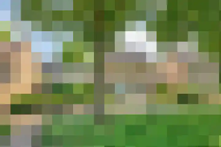 Kruidenhof 17 Schaijk thumbnail 37