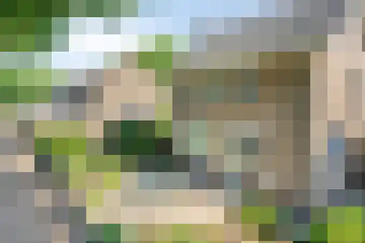 Kruidenhof 17 Schaijk thumbnail 39