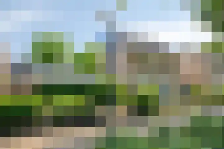 Kruidenhof 17 Schaijk thumbnail 40