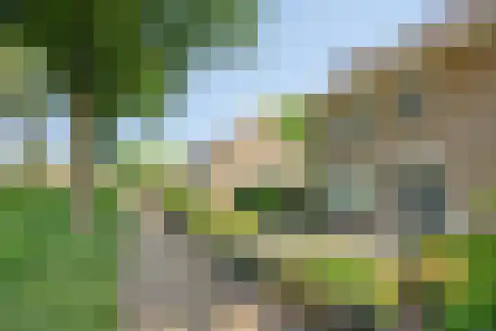 Kruidenhof 17 Schaijk thumbnail 41