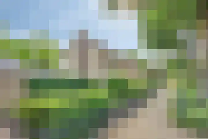 Kruidenhof 17 Schaijk thumbnail 42