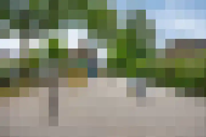 Kruidenhof 17 Schaijk thumbnail 43