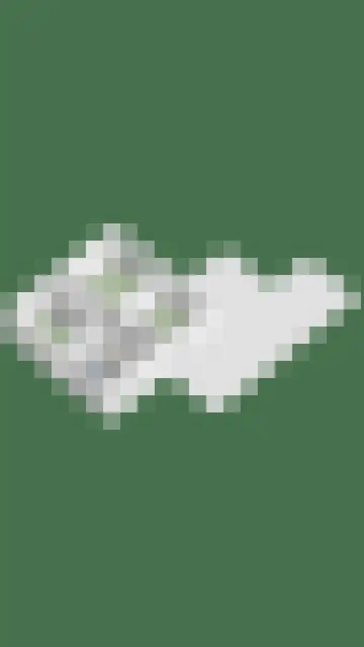 Kruidenhof 17 Schaijk thumbnail 54